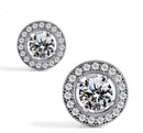 Chic Women's Crystal Rhinestone Zircon Inlaid Ear Stud Platinum Plated Earrings