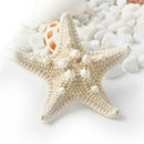 Lovely Hot Lady Girls Sweet Nice Starfish Beach Sea Star Hairpin Hair Clip one