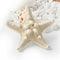 Lovely Hot Lady Girls Sweet Nice Starfish Beach Sea Star Hairpin Hair Clip one