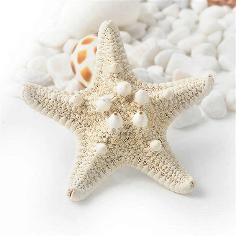 Lovely Hot Lady Girls Sweet Nice Starfish Beach Sea Star Hairpin Hair Clip one