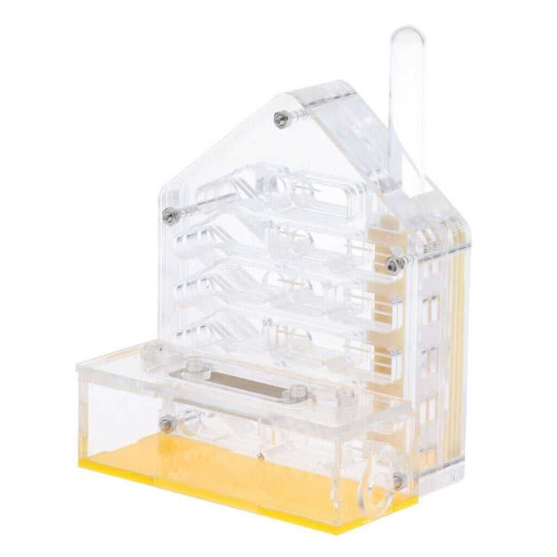Ants Clear Acrylic Box Farm Formicarium Moistiurising & Ventilated