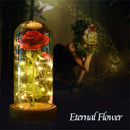 Artificial Rose LED Lamp Glass Lampshade With Gift Box For Valentine's Day Gift