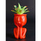 2pcs Human Portrait Sculpture Flower Pots Vases Succulent Cactus Planters