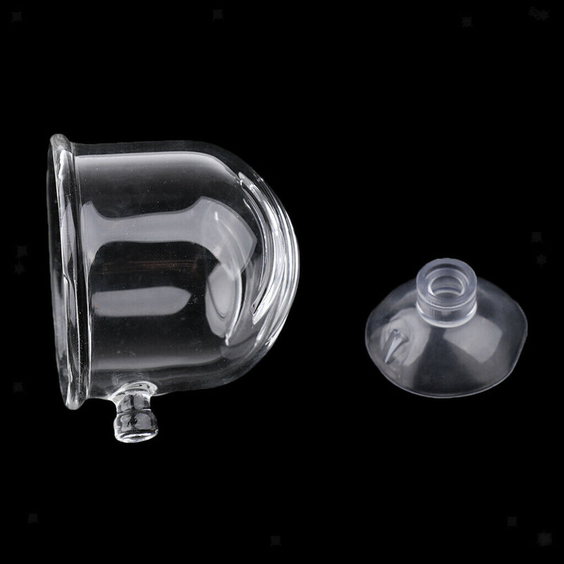 2x Glass Feeding Cup Fish Feeder Shrimp Red Worms