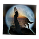 Full Drill Beauty 5D Diamond DIY Painting Craft Kit Home Wall Hanging Decor