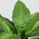Lifelike 40CM Evergreen Artificial Plant Bush Potted Tree Flower Simulati D P7X7