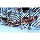 Paper Puzzles Jigsaw 1000pcs Snowfield Deer Educational Assemble DIY Toys
