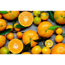 Orange Fruit 1000pcs DIY Paper Puzzles Jigsaw Educational Kids Adults Toys