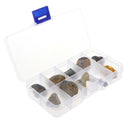 10Pcs Fossils Collection Kit w/ Display Box for Kids Early Biology Learning