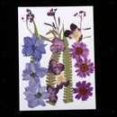 1 Set Assorted Pressed Dried Flowers Card Scrapbooking Phone Cover Crafts