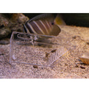 Unidirectional Bait Box For Aquariums, Lures Shrimp Shrimp Crabs, Lures Snail