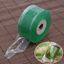 Self-adhesive Fruit Tree Grafting Tape Plants Gardening Tools Nursery 3cm/100M