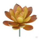 2 Pcs Lifelike Artificial Succulent Real Touch Plastic Plant Home Decoration