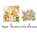 5D DIY Diamond Painting Pure Flowers Cross Stitch Embroidery Mosaic Kits