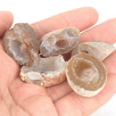 5Pcs Geodes Oco Agate Natural Crystals Druzy Halves Quartz Specimens FT