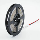 10M 300Leds 3528 Smd 2X 5M Rgb Led Light Strip + 24 Key Ir Remote Controlle