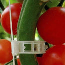 100pcs veggie garden plant support clips for trellis twine greenhouse_A MO