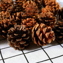 24 Pieces Pine Cones Ornament Natural PineCones With String Pendant Crafts  A6E7