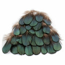 50pcs Lady Amherst natural green pheasant feathers for-craft/millinery/jewe W5A1