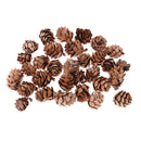 30pcs Real Natural Small Pine ConesBulk Sale for Accents Decors Ornament