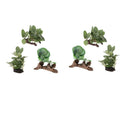6x Reptile Plant Terrarium Plant Reptile Hiding Plant   Turtle Habitat