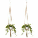 2 Pack 48 Inches Plant Hanger Flower Pot Plant Holder for Indoor Outdoor De