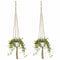 2 Pack 48 Inches Plant Hanger Flower Pot Plant Holder for Indoor Outdoor De