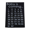 3x Multi-colors Baby is Come Print Cloth Stickers Birth Countdown for T-s DYT