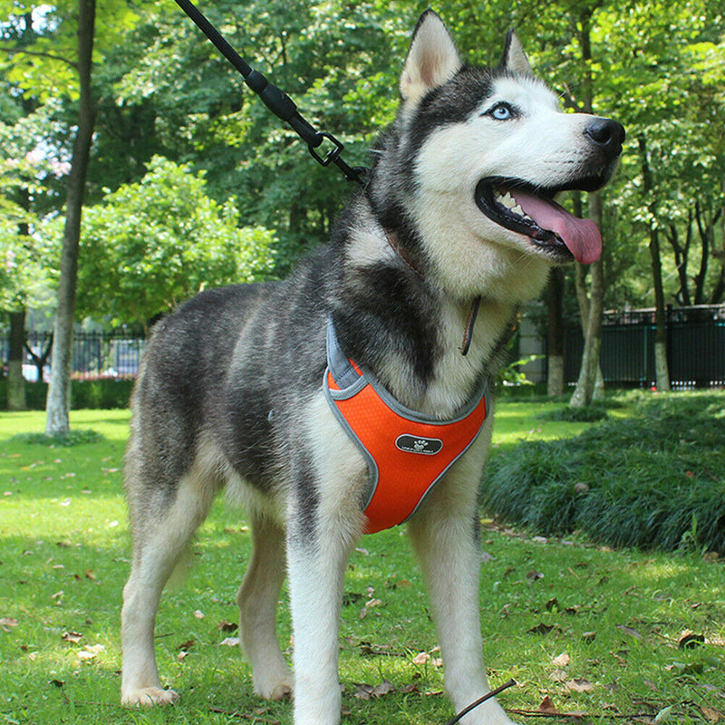 Reflective Vest Dog Chest Strap Breathable Pet Harness Leash Set (Orange M) A