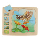 Kids Puzzle Game, Butterfly Growing Story Family Game Activity, 4 Layer