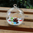Hanging Glass Flower Vase Bottle Hydroponic Terrarium Container Decor - 15c