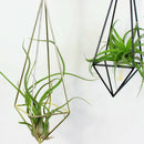 Rustic Style Black Freestanding Hanging Geometric Metal Pot Rack For Tillandsia