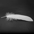 100pcs White Feathers Goose Craft for Party Hat Crafts Wedding Decoration 1