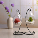Hanging Glass Vase Ellipse Hanging Terrarium Glass Vase Hydroponic Office E K5P7