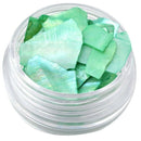 1 Set 12 Mix Color Crushed Shell Fragment for False Acrylic UV Gel Tip Nail G9V8