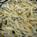 10pcs/lot Bait Fishing Lure Luminous Smell Jig Hook Clam Worm 50mm/1.2g-AU V6L5