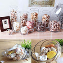 Aquarium Beach Nautical Shell Approx Sea Shell Photography Props FishTank W5C6