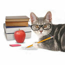 Full Square Diamond 5D DIY Diamond Painting "Glasses Cat" Embroidery Cross