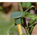 48x Green Plastic Cane End Caps Safety Cane End Caps Bamboo Protectors