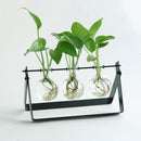 Modern Glass Tabletop Hydroponic Flower Vase With Cast Iron Tray 3 Beaker E