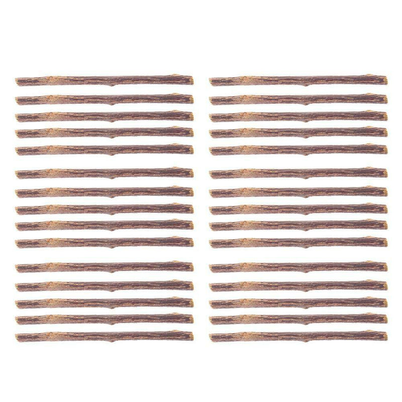 50pcs Natural Fruit Matatabi Cat Snacks Sticks Catnip Pet Cat Molar Rods