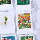 46Pcs Tulip Stationery Stickers Pack Posted Planner Scrapbooking Memo Stick BX