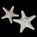 2X Lady Girl Beach Wedding Natural Starfish Sea Star Hair Clip Hairpi OZ