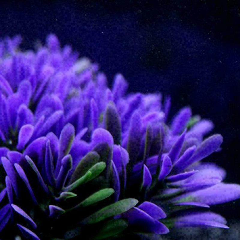 Fish Tank Aquarium Decor Accessories Artificial Water Plant Gr S1Q7 X4T9 Pl Y3F7