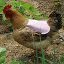 Single Strap Chicken Apron/Saddle, Feather Fix Protector for Poultry -Stand D9B3
