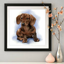 5D DIY Full Drill Diamond Painting Logy Dog Cross Stitch Embroidery Craft