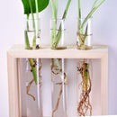 Wall Hanging Flower Vase Bottle in Wood Stand Terrarium Home Party Wedding Decor
