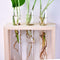 Wall Hanging Flower Vase Bottle in Wood Stand Terrarium Home Party Wedding Decor