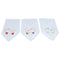 Cotton Floral Embroidered Handkerchiefs Set of 3