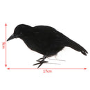 Simulate Raven Feather Artificial Crow Prop Halloween Bird Realistic Pa OZ